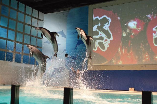 世界淡水魚園水族館　アクア・トト　ぎふ