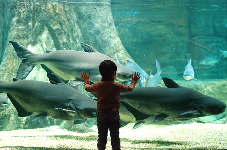 青森県営浅虫水族館