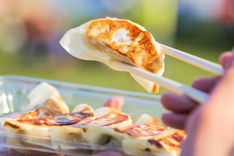 全日本ぎょうざ祭り2026春 in モリコロパーク