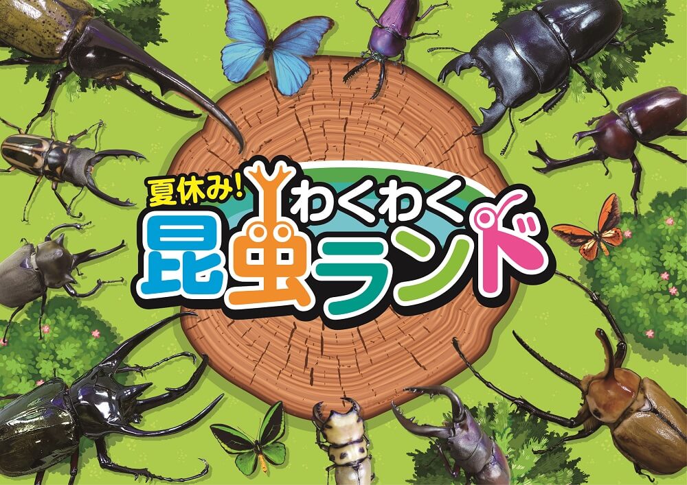夏休み!わくわく昆虫ランド