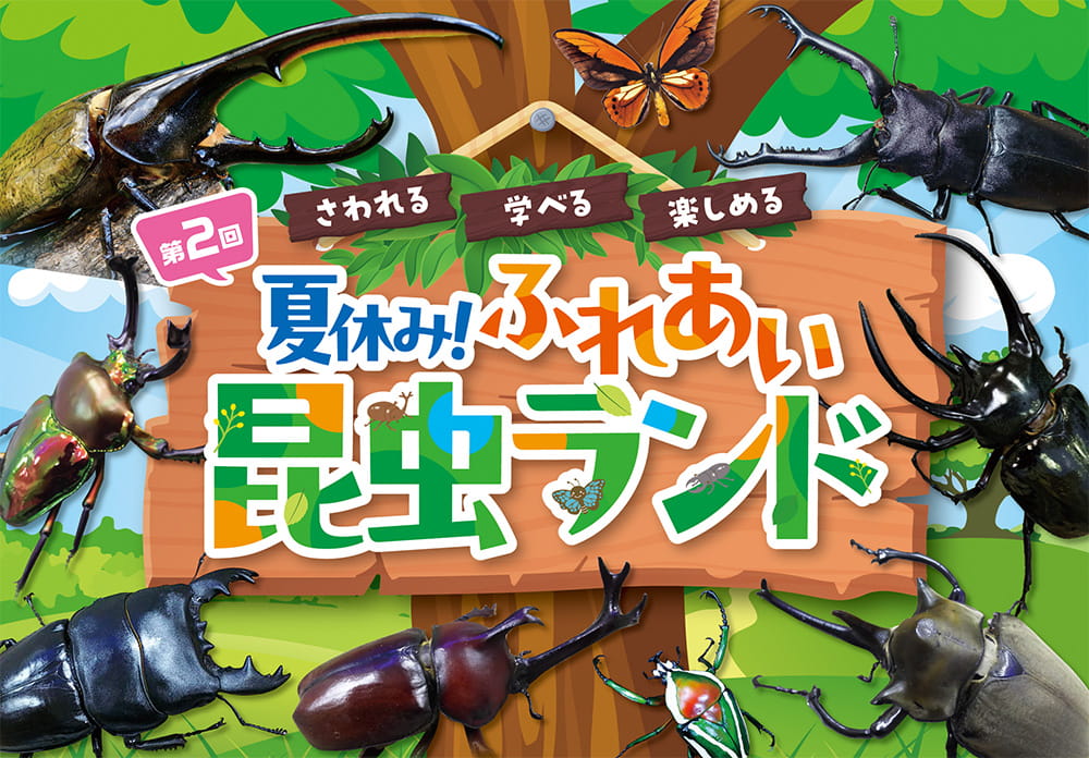 第2回 夏休み！ふれあい昆虫ランド