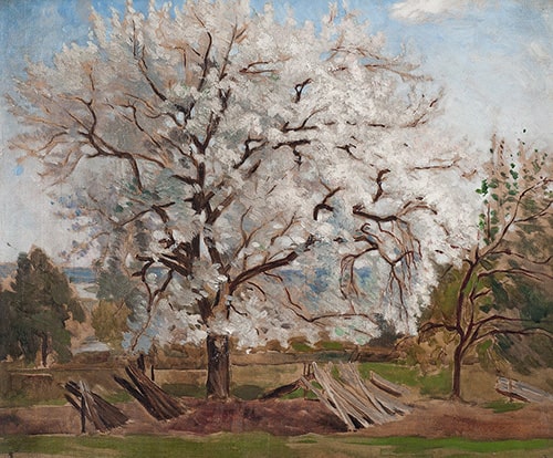 カール＝フレードリック・ヒル《花咲くリンゴの木》 1877年　油彩、カンヴァス