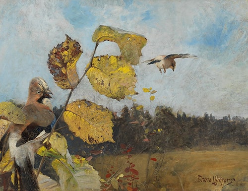 ブリューノ・リリエフォッシュ《カケス》 1886年　油彩、カンヴァス