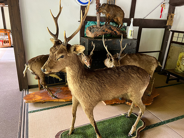 里山で学び・食す「猪鍋定食」