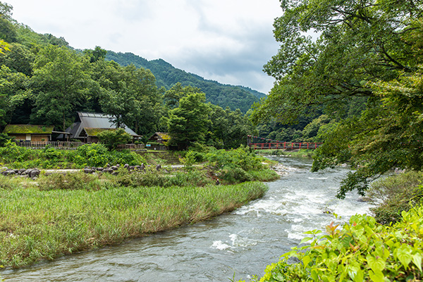 里山で学び・食す「猪鍋定食」