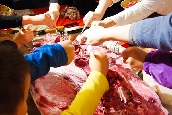 魚屋さんの「マグロ解体ショー」