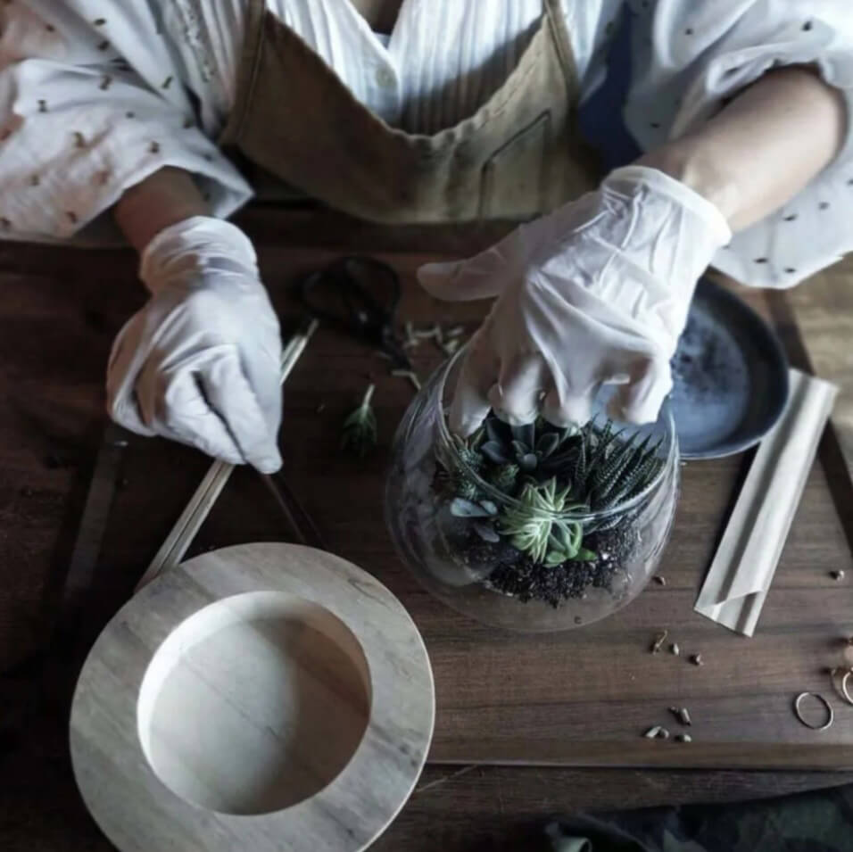 多肉植物の寄せ植えＬＥＳＳＯＮ