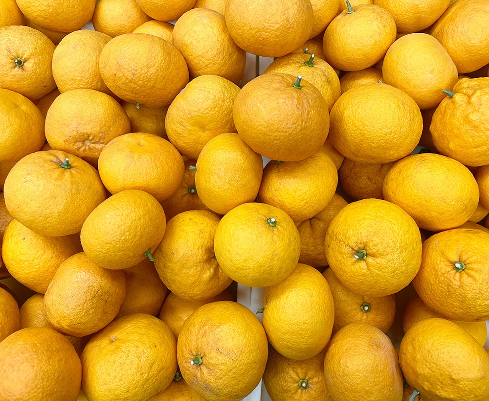 【季節限定】夏みかんの香りのアロマ蒸留＆ハンドクリームづくり体験♪