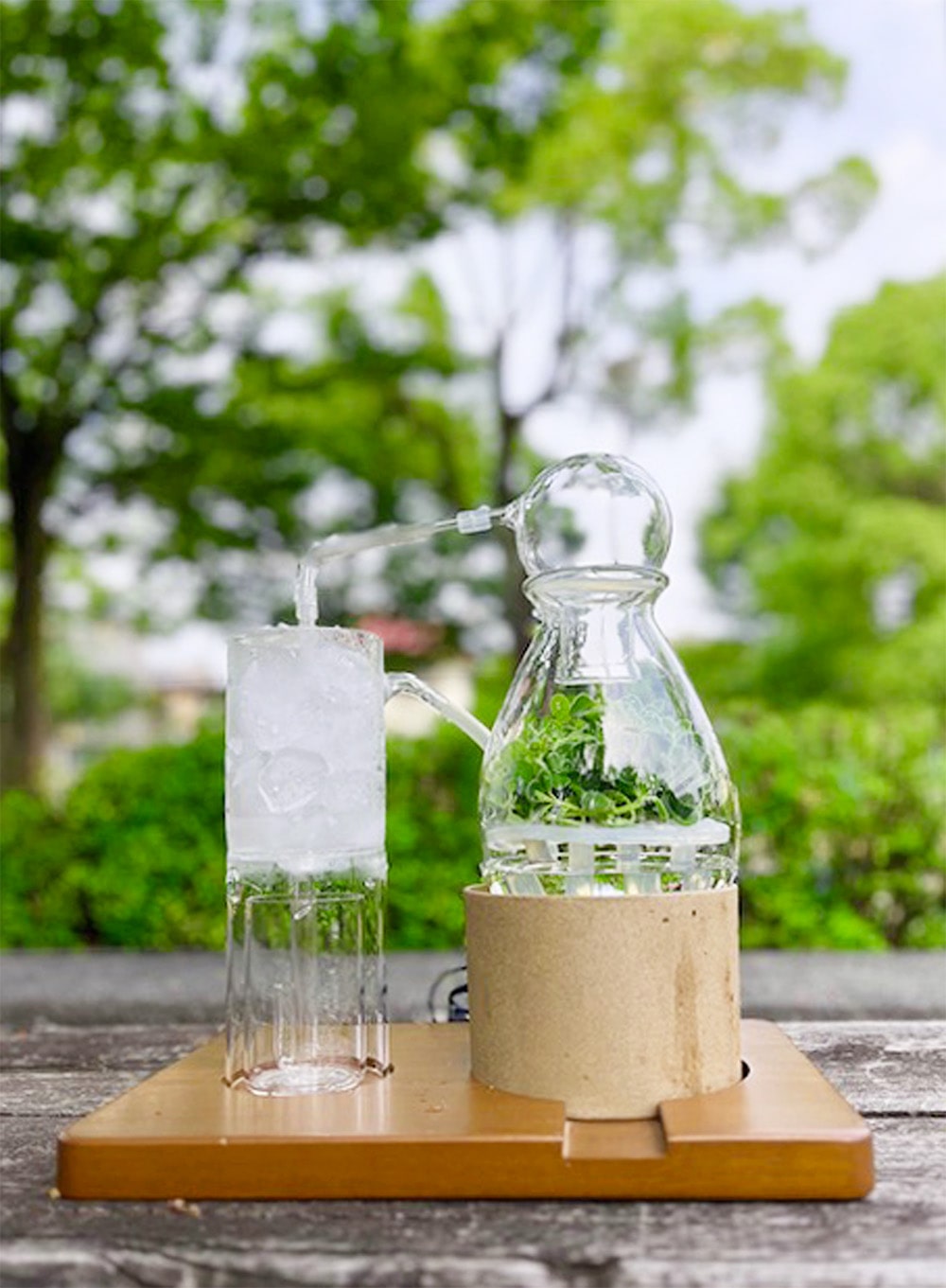 【夏休み特別企画】自然の香りを学び、つくる。愛知の森の香りのミニ蒸留とルームスプレーづくり