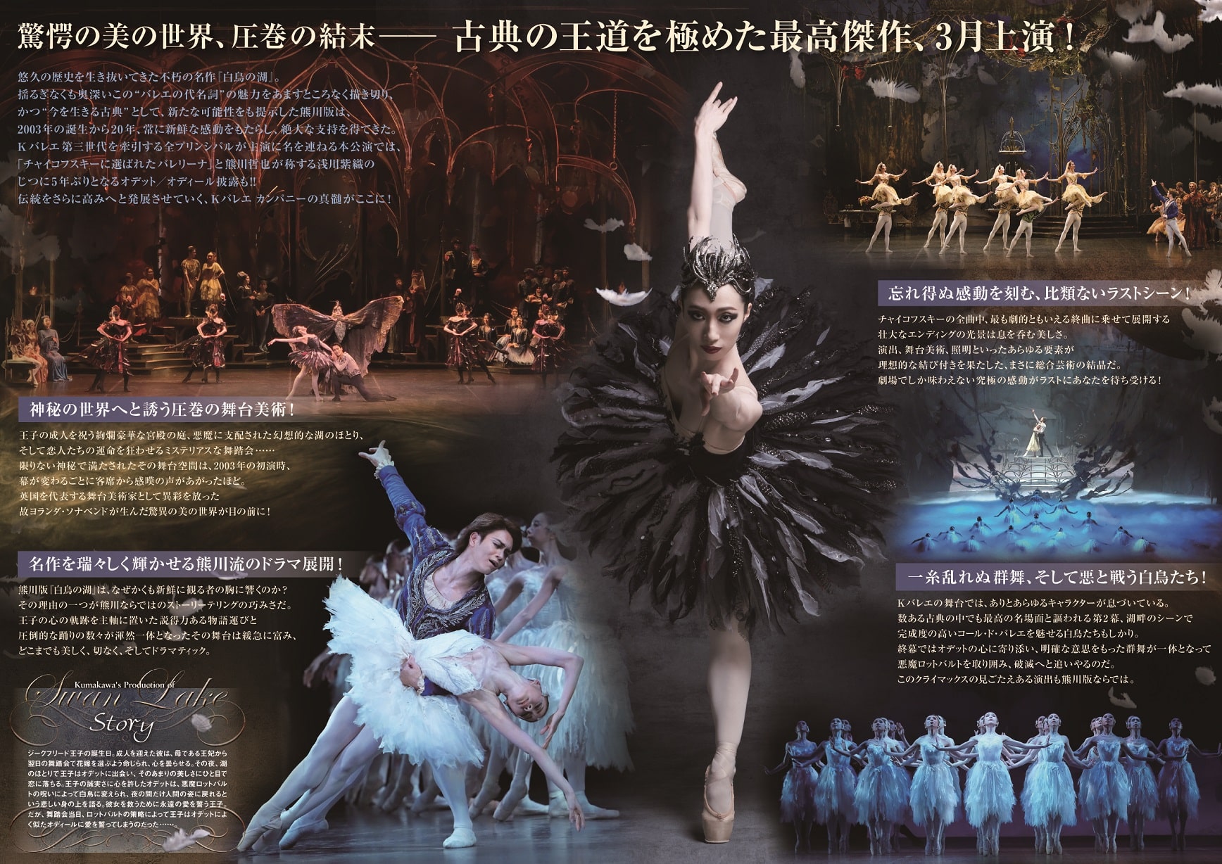 熊川哲也 DVD 4枚組 ballet arts - アート、エンターテインメント