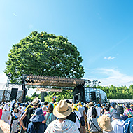 キャンプインフェス