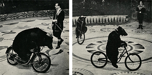 ボリショイサーカス 熊のサーカス1958