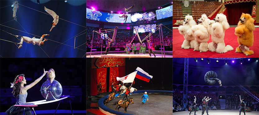 2018国立ボリショイサーカス＜演目＞ 空中ブランコ / ロシアン・スイング / 犬のサーカス / 猫のサーカス / ジギト(馬のサーカス） / バイカーズ・オン・バルーンズ