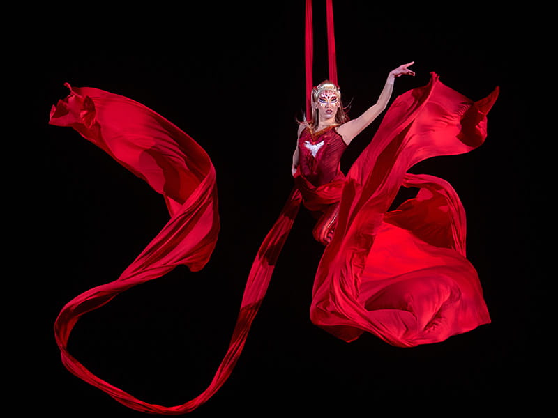 Aerial Silks