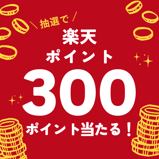 300ポイント