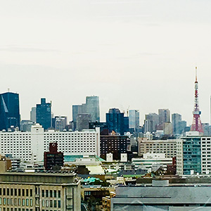 景色を撮る場合