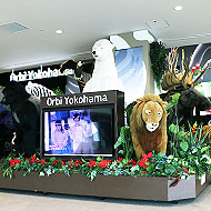 Orbi Yokohama