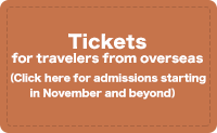 Tickets for travelers from overseas