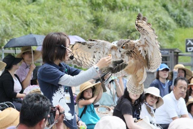掛川花鳥園