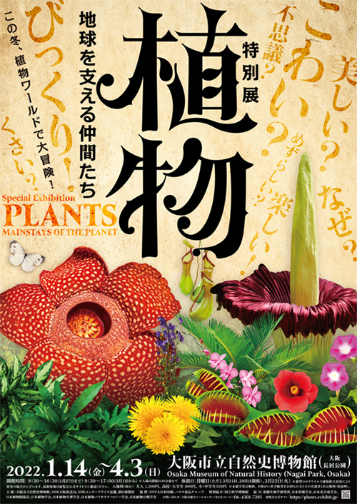 特別展「植物　地球を支える仲間たち」（大阪）
