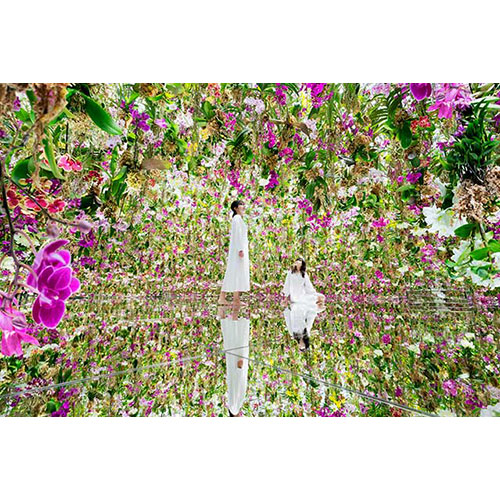 teamLab Planets TOKYO DMM