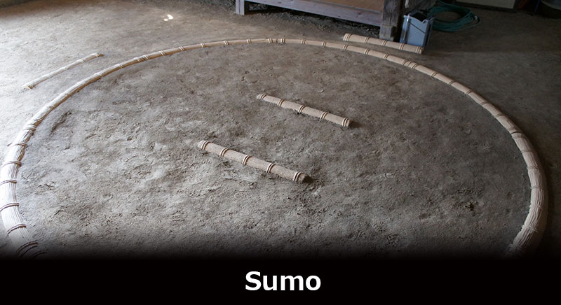 SUMO