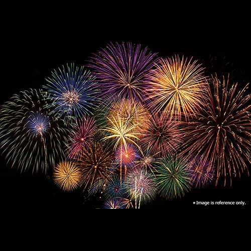 fireworks paid viewing seats