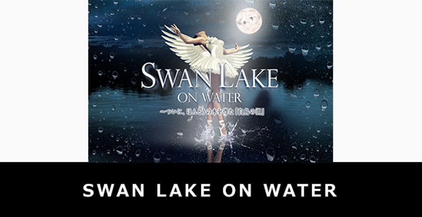 SWAN LAKE ON WATER／スワン・レイク・オン・ウォーター