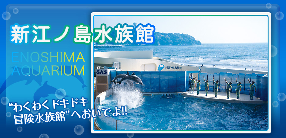 新江ノ島水族館