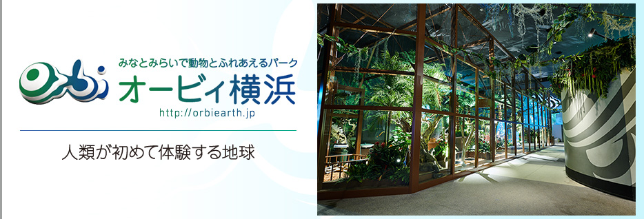Orbi Yokohama(オービィ横浜)