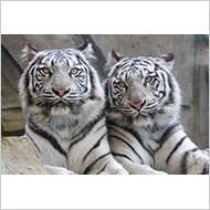 姫路セントラルパーク