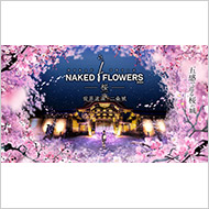 NAKED FLOWERS 2023 桜 世界遺産・二条城