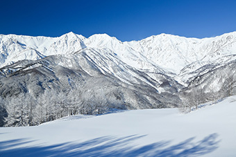 白馬岩岳スノーフィールド