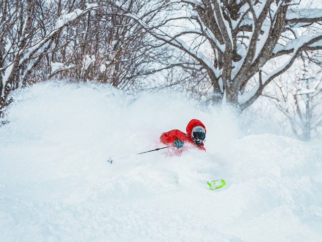 高鷲スノーパーク＆ダイナランド［岐阜県］