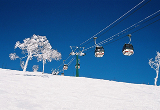 ニセコ全山共通｜2022-2023シーズン スキー場情報・割引リフト券 | ローチケ（ローソンチケット）